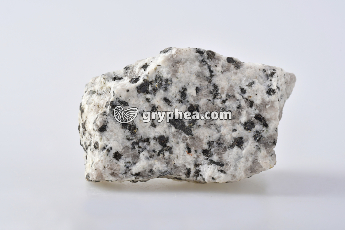 Granite - Echantillon - gryphea.com